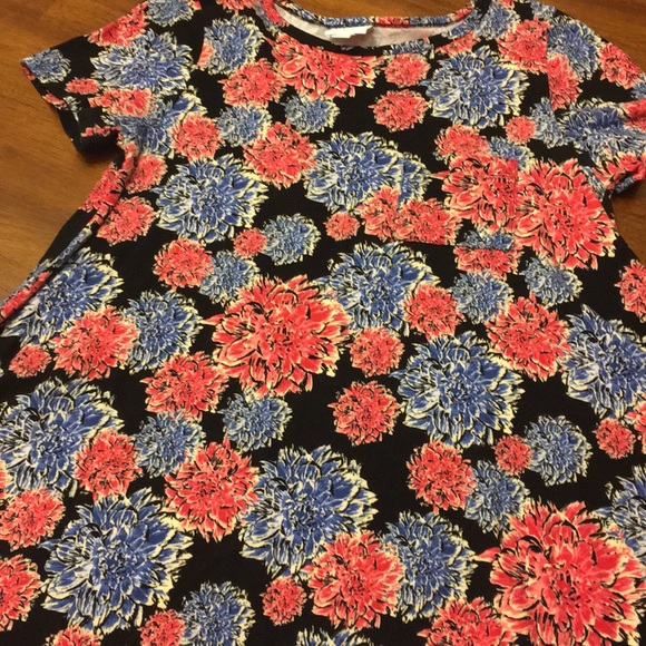 LuLaRoe Dresses & Skirts - EUC (Worn Once) XS LuLaRoe Carly Dress